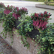 Pure Kraft der Natur auch in der Winterzeit