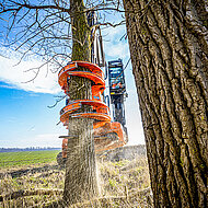 CS800 dualGrip: WOODCRACKER-Entwicklungen im Fokus