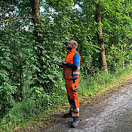 GEO-Baumkontrolle-App: st&auml;dtisches Gr&uuml;n retten