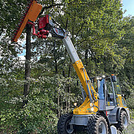 Sichere Baum- und Heckenpflege