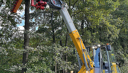 Sichere Baum- und Heckenpflege