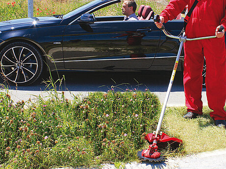 TIGER RaceCut-Motorsense Freischneiden ohne Schadensrisiko