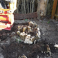 Rodungstechnik: Roden am und &uuml;berm Zaun