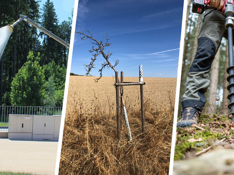 Richtig pflanzen statt aufwendig gießen