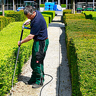 Umweltfreundliche Wildkrautbek&auml;mpfung in Bad Driburg