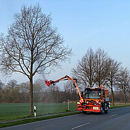 Biologische Bek&auml;mpfung des Eichen-Prozessionsspinners
