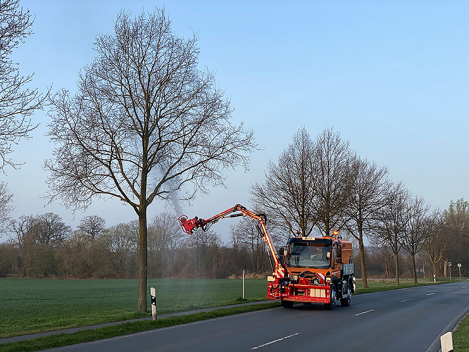 Biologische Bekämpfung des Eichen-Prozessionsspinners