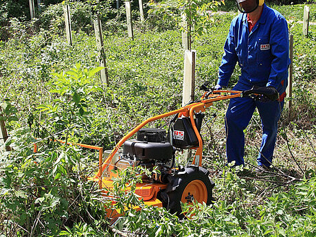 AS-Motor &uuml;berrascht mit speziellem M&auml;her f&uuml;r Jungwaldpflege