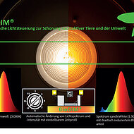 Nachhaltige und insektenschonende Beleuchtung