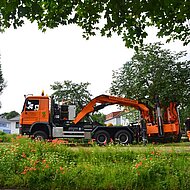 Opitz: Umpflanzaktion im Zuge der demopark erfolgreich abgeschlossen