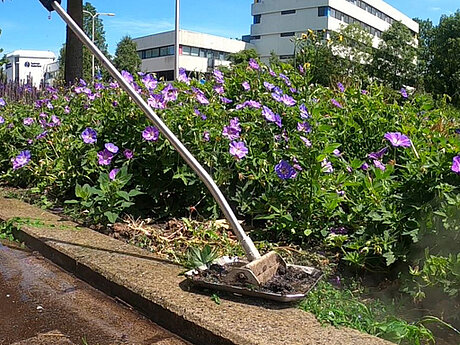 Exklusiv und patentiert &ndash; neue Beetlanze zur Hei&szlig;wasser-Wildkrautbek&auml;mpfung von Waterkracht
