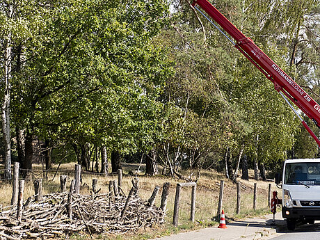 Weltpremiere der RUTHMANN ECOLINE 230 auf den Platformers&lsquo; Days