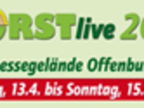 Forst Live Offenburg: Erneuerbare Energie aus dem Wald  