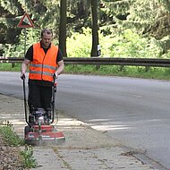 Zwei neue Wildkrautb&uuml;rsten aus dem Hause Tielb&uuml;rger