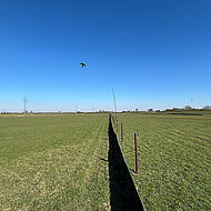 Sinnvoller Arten- und Vegetationsschutz bei Baumaßnahmen