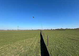 Sinnvoller Arten- und Vegetationsschutz bei Baumaßnahmen