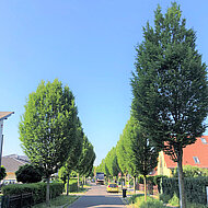 China-Reise: neue Chancen f&uuml;r Zusammenarbeit mit H&auml;ndlern