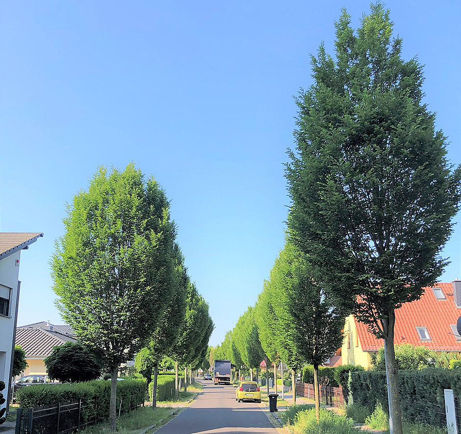 China-Reise: neue Chancen für Zusammenarbeit mit Händlern