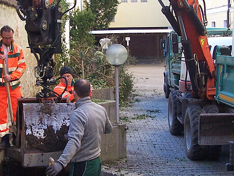 Die Straubinger Frühlingsboten  