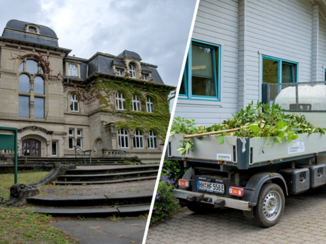 Zwischen Grabstein und Grünanlage