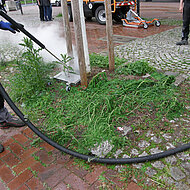 Bertsche KX Wildkrautvernichtung mit Hei&szlig;dampfSystem