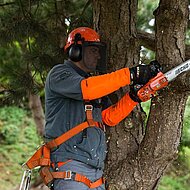 ECHO hat die passende S&auml;ge f&uuml;r Baumpfleger