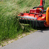 Schlegelm&auml;hkopf VMS 1200 &Ouml;KO: schonender Umgang mit Pflanzen und Insekten bei der Gr&uuml;nfl&auml;chenpflege