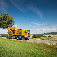 Gro&szlig;baumverpflanzung: Opitz feiert 50. Firmenjubil&auml;um