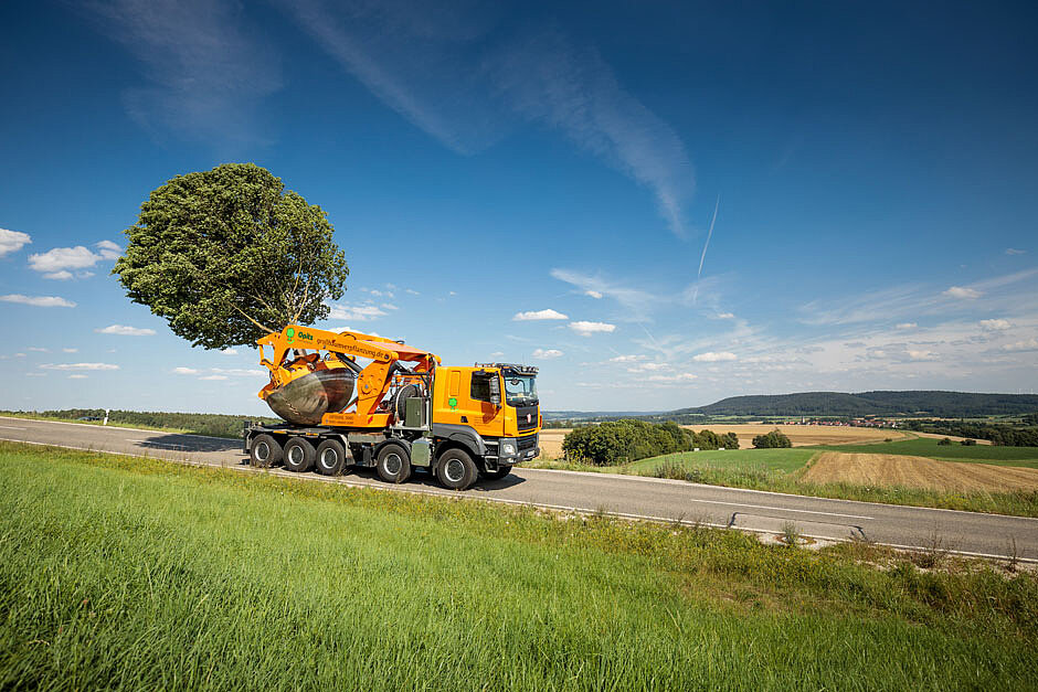 Großbaumverpflanzung: Opitz feiert 50. Firmenjubiläum