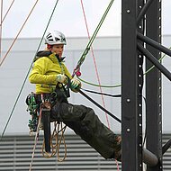 Deutsche Baumpflegetage 2018 bieten geballte Informationen für kommunale Fachleute