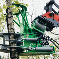 Effiziente Gehölzpflege mit den Landscape-Hecken- und Baumscheren