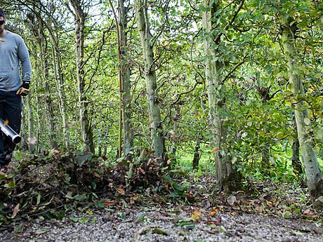 Echo: Laub lautlos los werden mit dem Akku-Blasger&auml;t 