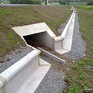 Planung und Ausschreibung von Amphibien- und Reptilienschutzanlagen