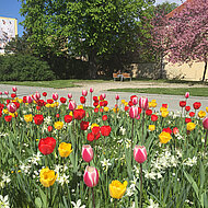 Flower Your Place bringt den Fr&uuml;hling mit auf die GaLaBau