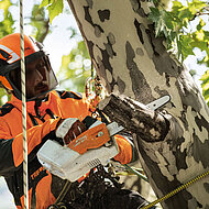 Neues Helmset STIHL ADVANCE X-Climb: F&uuml;r Eins&auml;tze im Baum und am Boden 