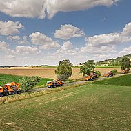 Große Bäume erhalten – der Zwischen-Einschlag macht's möglich