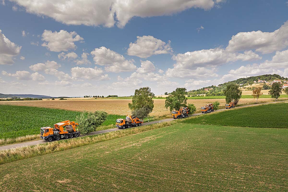 Große Bäume erhalten – der Zwischen-Einschlag macht's möglich