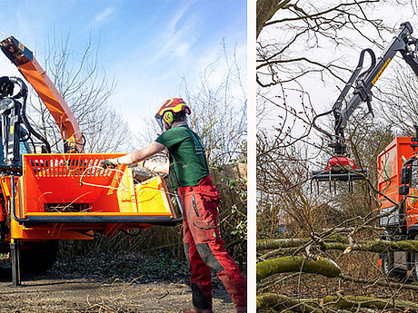 B&auml;ume f&auml;llen, Gel&auml;nde freir&auml;umen: Das &bdquo;Biest&ldquo; erledigt alle Arbeitsschritte in einem Durchgang