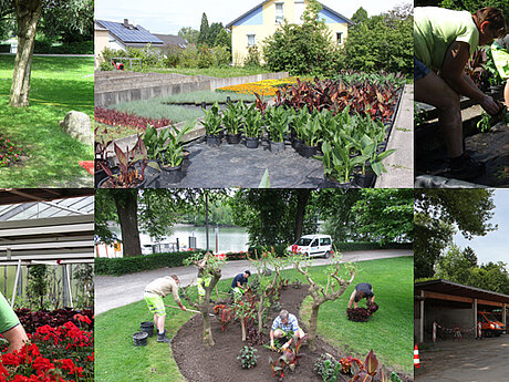 Reportage: Hinter den Kulissen der Stadtgärtnerei Lindau 