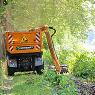 Drei Wege zur Bek&auml;mpfung des Asiatischen Kn&ouml;terich