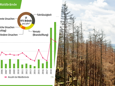 Vorbeugen erleichtert die Brandbekämpfung