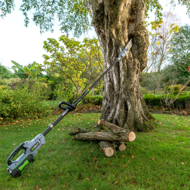 Auf zu neuen Höhen – Teleskop-Hochentaster PS1000E