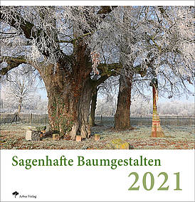 Baumkalender 2021 – Baumsachverständiger setzt schönste Bäume in Szene