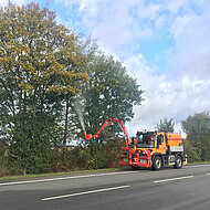 Biologische Bek&auml;mpfung des Eichenprozessionsspinners 