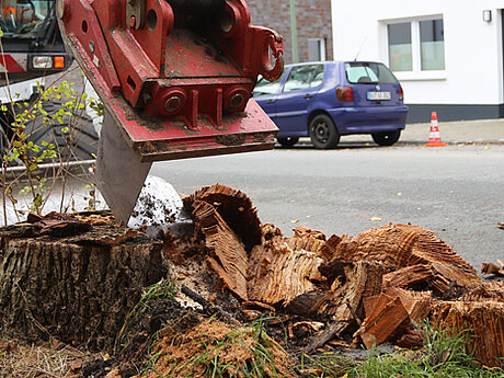 Technischer Betrieb rodet 120 Baumstubben mit der Wurzelratte