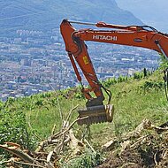 SEPPI-Baggermulcher tatkr&auml;ftig auf steilen und unwegsamen Almwiesen.