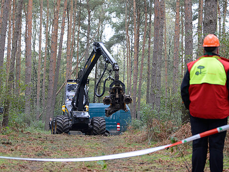 KWF-Thementage: Waldmeister trifft Webmaster