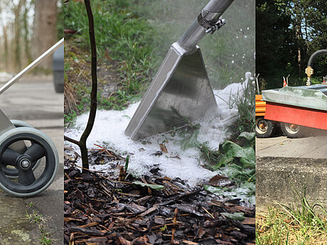 Pack das Übel bei der Wurzel: Mit Heißwasser, Schaum und Dampf gegen Wildkraut
