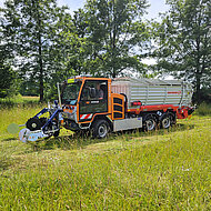 Insektenfreundliches M&auml;hen in Bonn