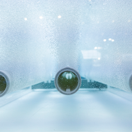 IFAT-Fokus: Wasserbewusste Stadtentwicklung als Zukunftsaufgabe